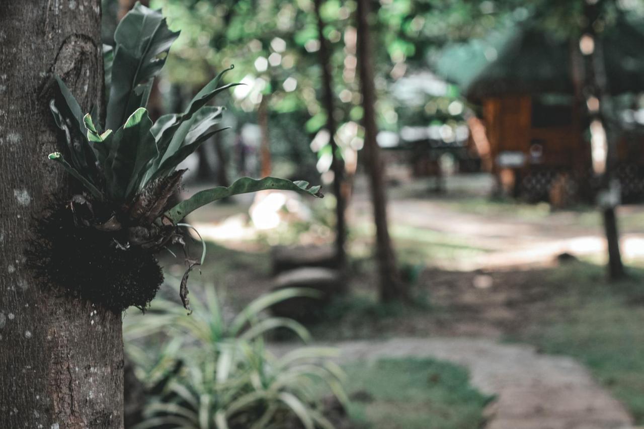 Hotel La Vie Adventure Trails Salabusob Zewnętrze zdjęcie