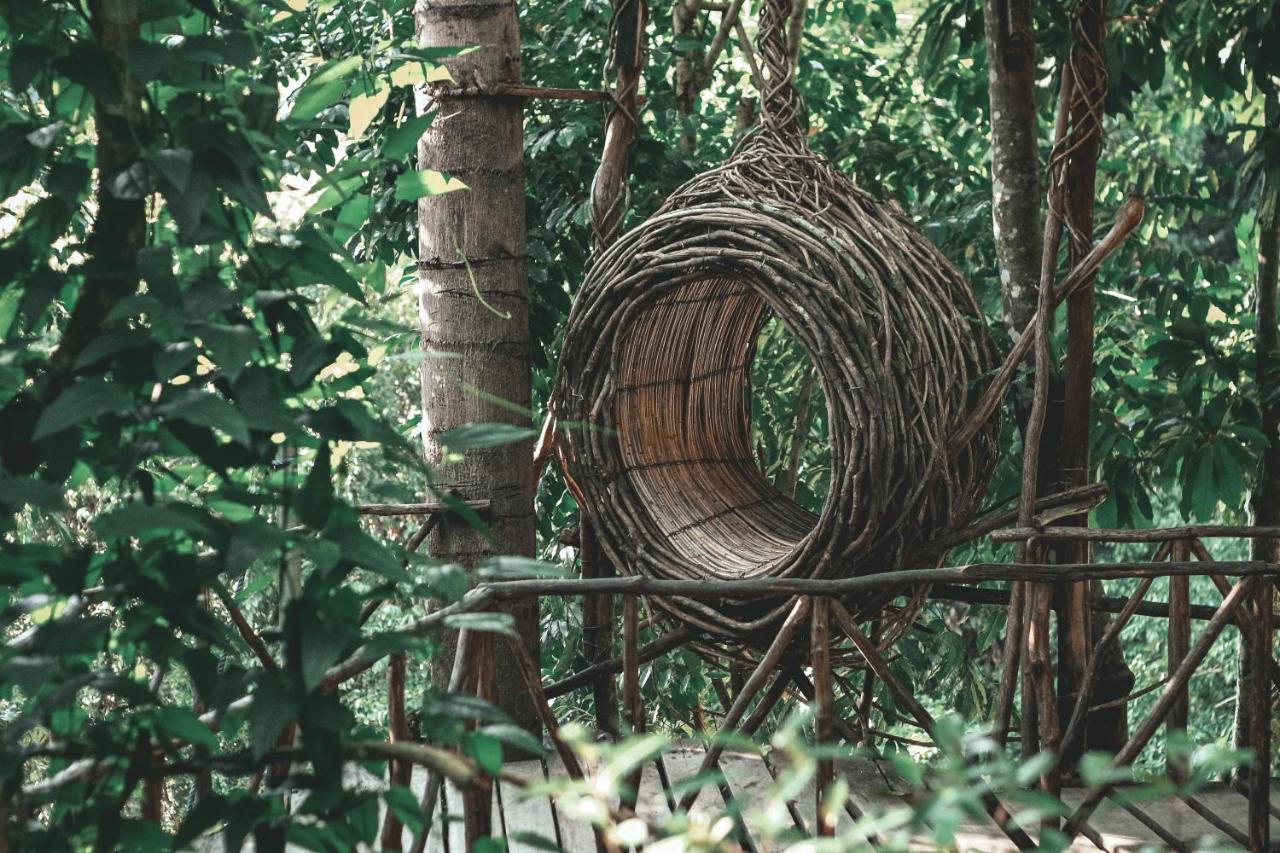 Hotel La Vie Adventure Trails Salabusob Zewnętrze zdjęcie