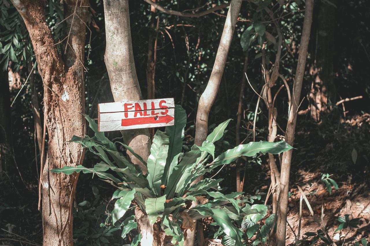 Hotel La Vie Adventure Trails Salabusob Zewnętrze zdjęcie